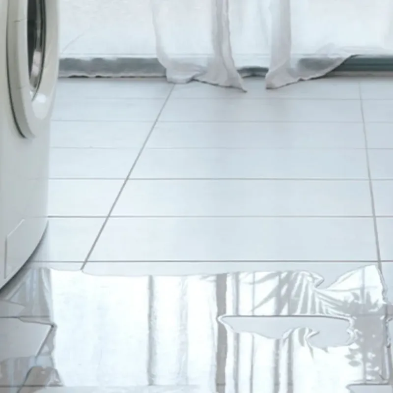 Appliance Leak Cleanup in Northglenn, CO